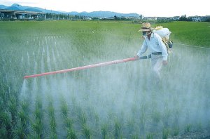 pesticides-food-1