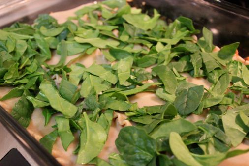 Fresh organic spinach layer